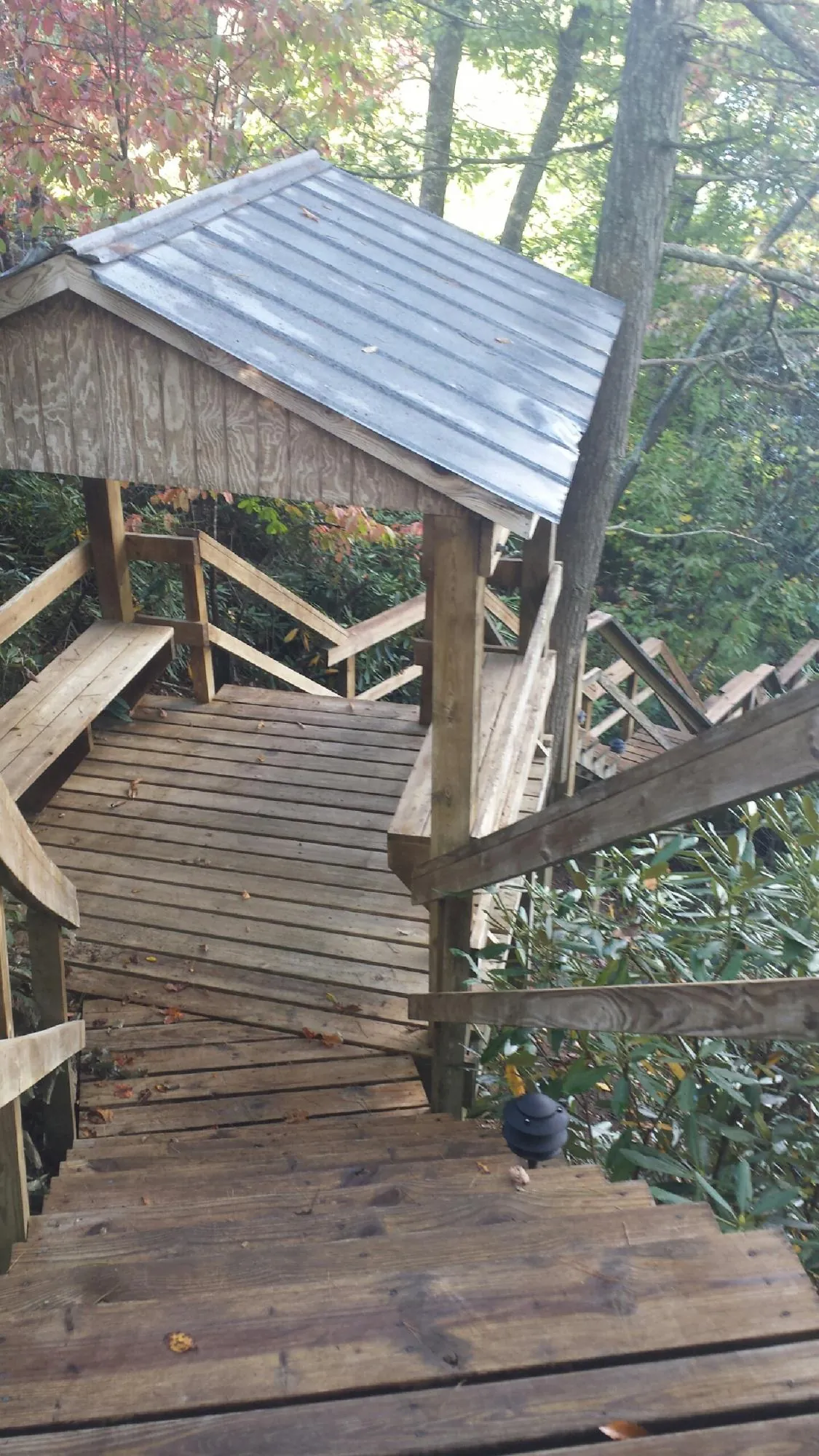 Metal roofed shelter over wooden steps on a wooded walkway — Skylight Repair & Installation work by our crew in Ridgeville